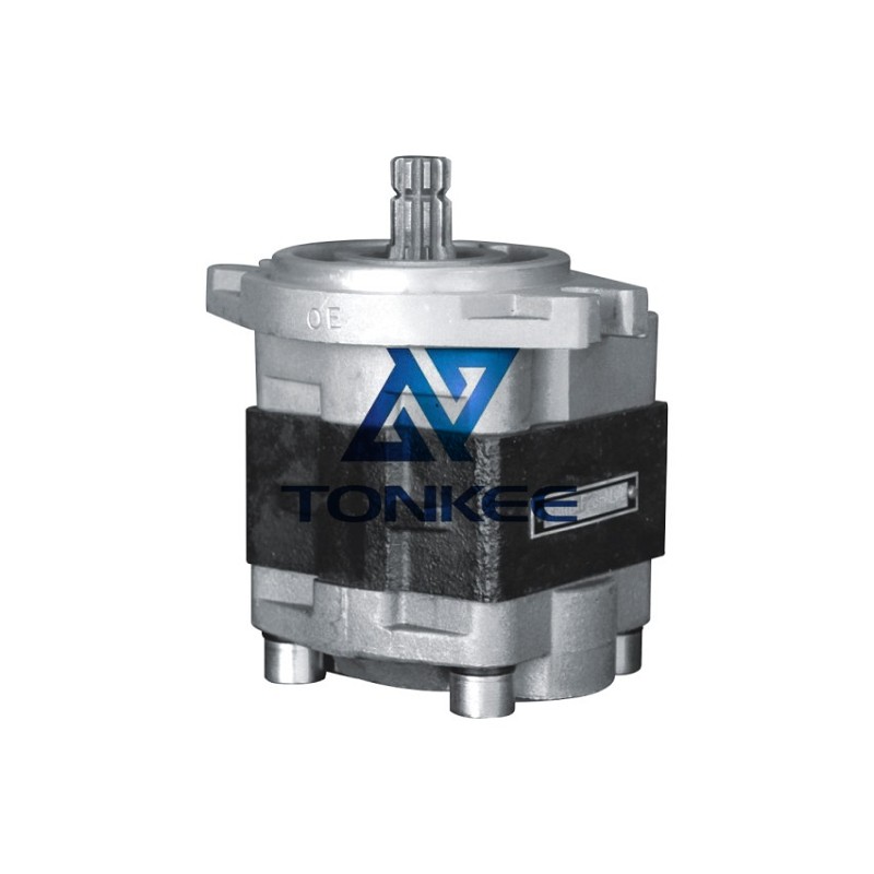 Buy CBHZG-F31.5 gear pump hydraulic pump | Partsdic®