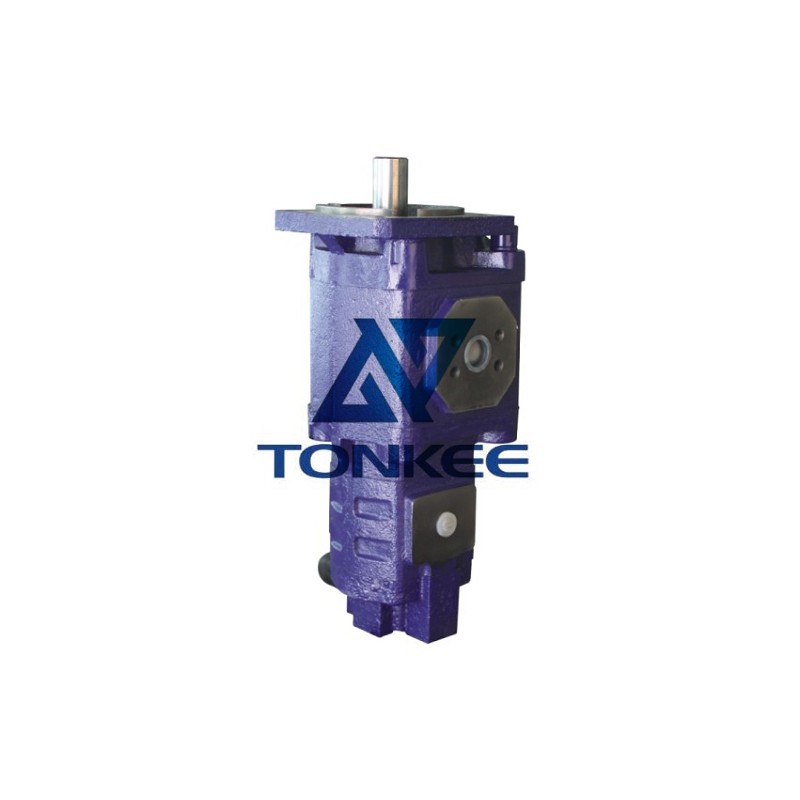 Duplex pump, CBGJ2063 CBGJ1016, hydraulic pump | Partsdic®