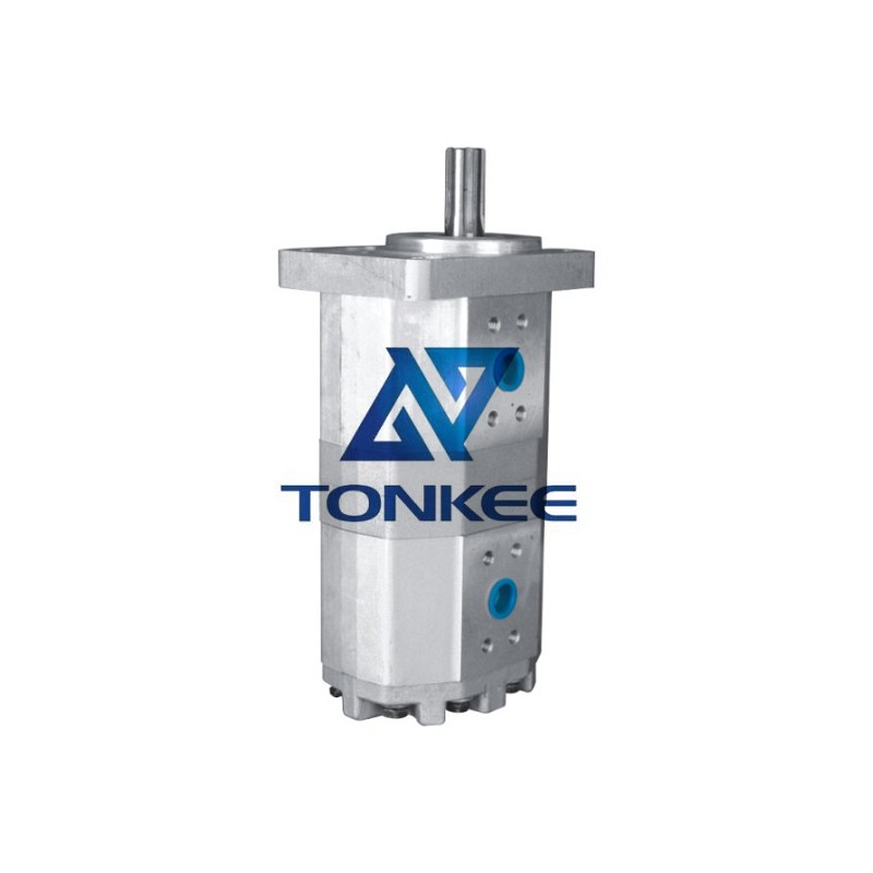 Duplex pump, CBQL-F540 CBQL-F540, hydraulic pump | Partsdic®